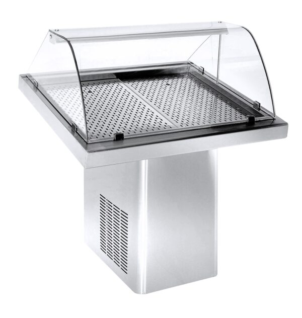 Vitrine réfrigérée poisson professionnelle
