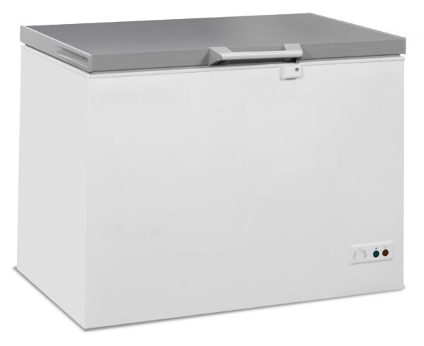 Congélateur coffre inox 305L