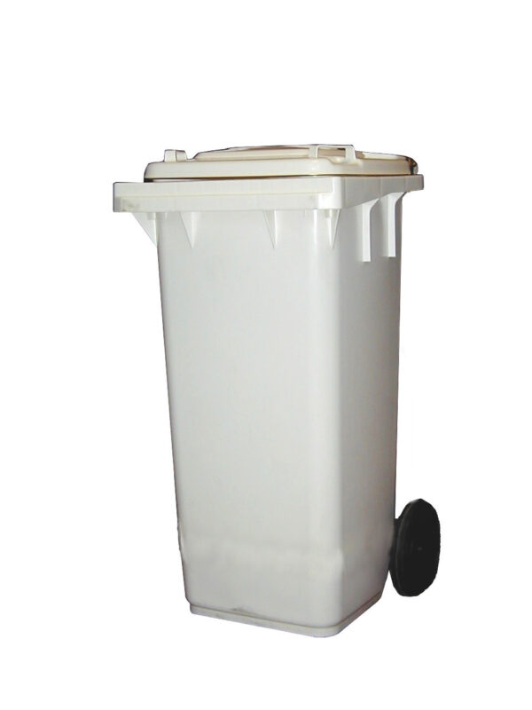 Poubelle extérieure 120L
